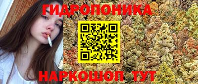 мдпв Ливны